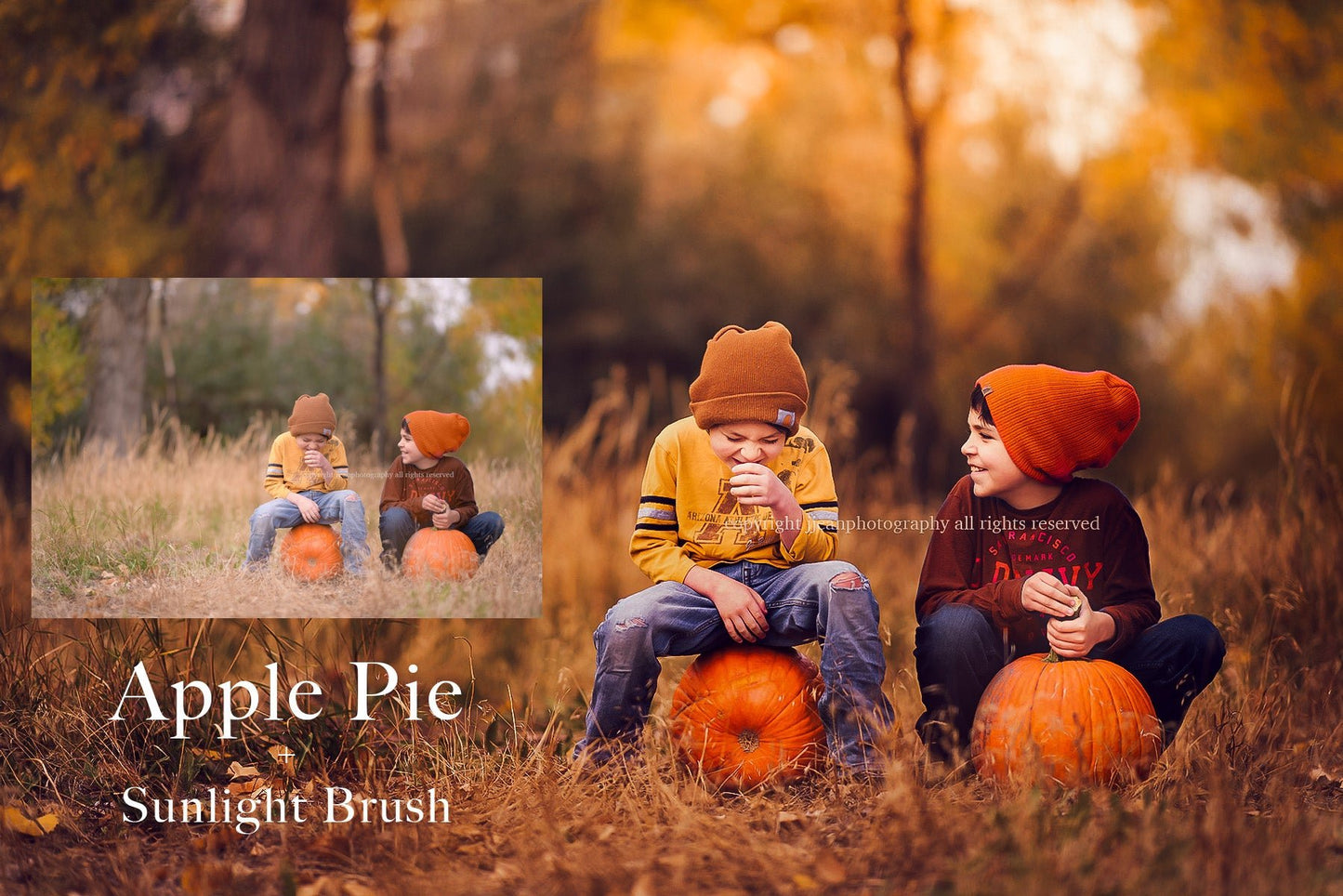 Autumn Dream Preset Collection - ShopJeanPhotography.com