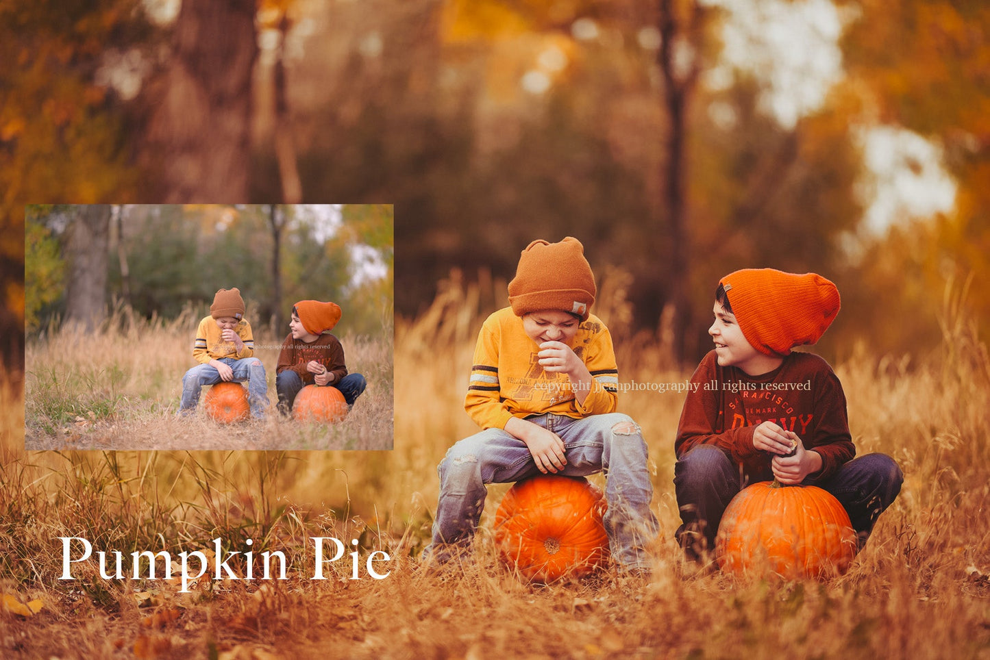Autumn Dream Preset Collection - ShopJeanPhotography.com
