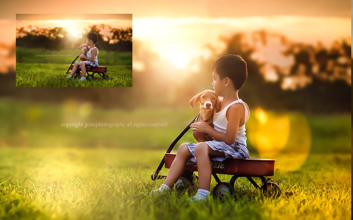 LR Lens Flare Presets - ShopJeanPhotography.com