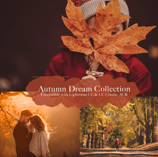 Autumn Dream Collection (Presets for LR/ACR) - ShopJeanPhotography.com