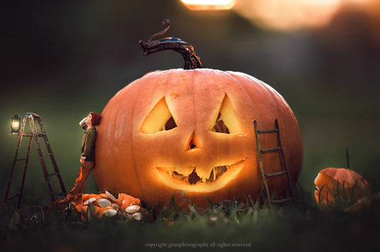 Free Pumpkin Template - Creative Composite - ShopJeanPhotography.com