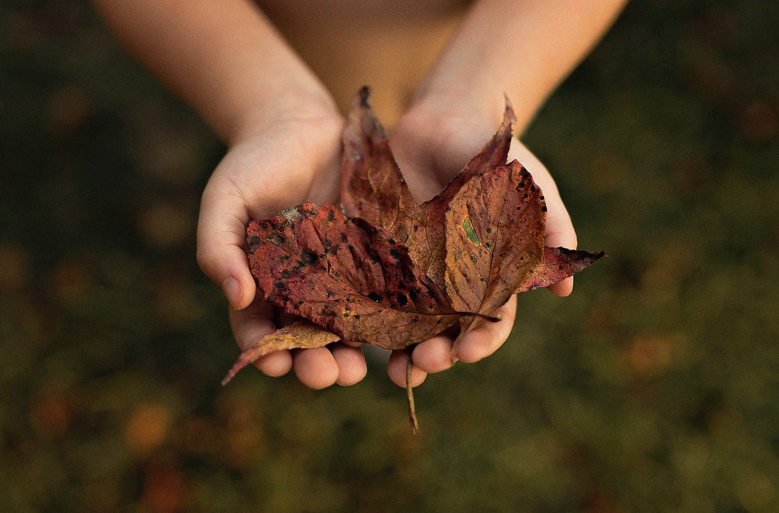 Weekly Top Ten - Autumn - ShopJeanPhotography.com