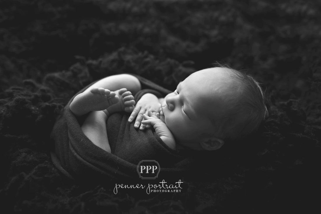 Weekly Top Ten - Black and White Photography - ShopJeanPhotography.com