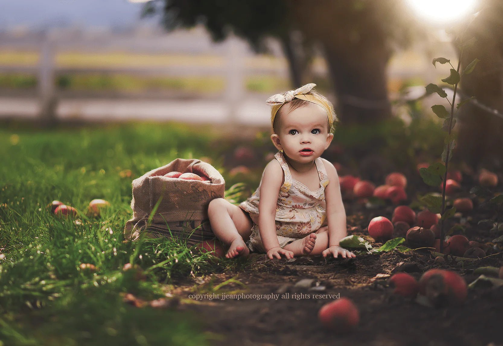 Apple Orchard Digital Background - ShopJeanPhotography.com